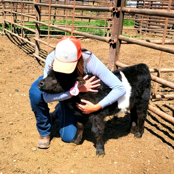 Meet your Posher, Carley - Picture 5 of 6